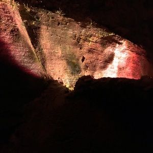 Meet your Posher, Eva